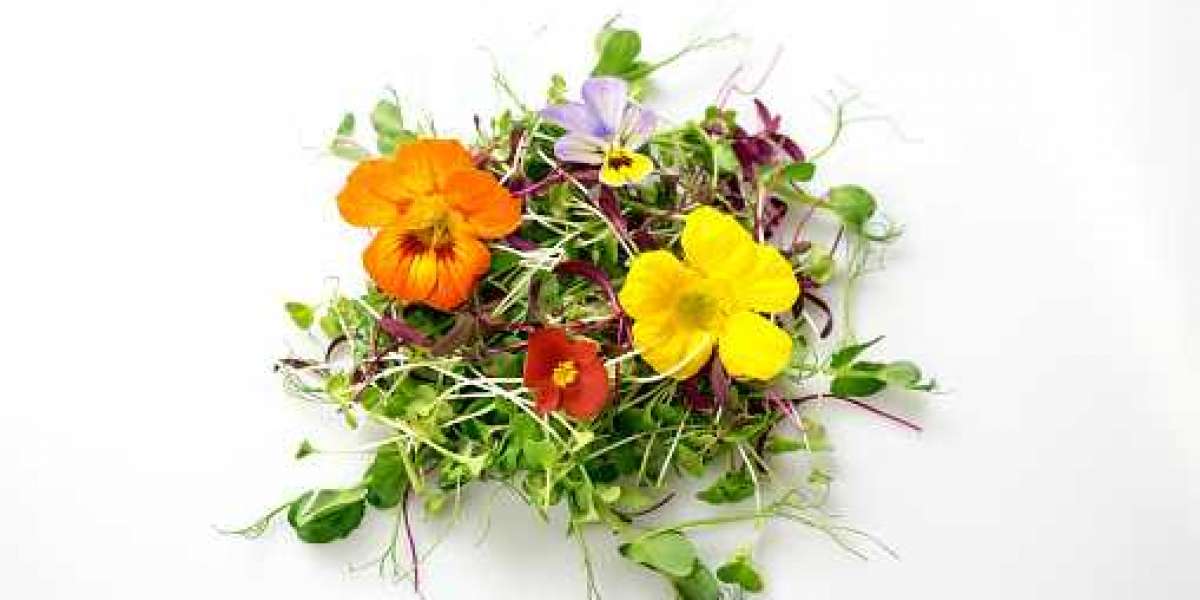 Edible Flowers Key Market Players by Regional Growth, Driven Factor, and Forecast to 2030