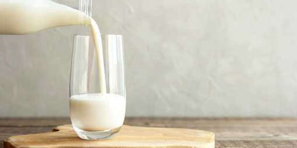 Milk Protein Market Outlook of Top Companies, Regional Share, and Forecast 2030