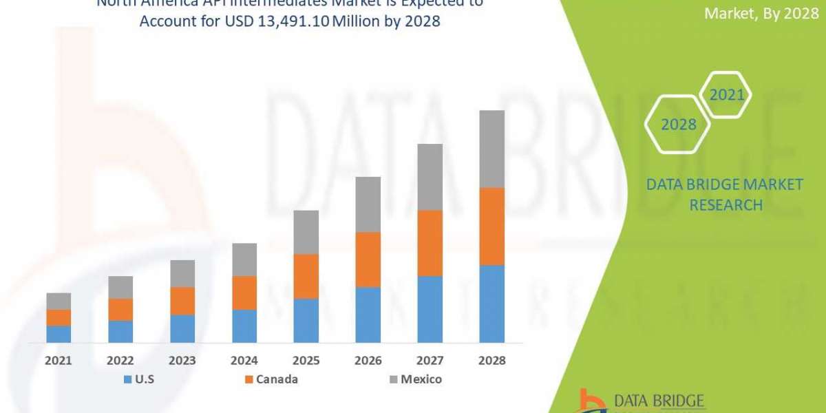 North America API intermediates Market Latest Amendments and Future Outlook by 2030