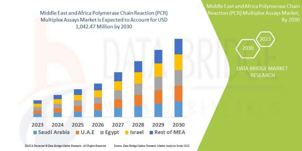 Middle East and Africa Polymerase Chain Reaction (PCR) Multiplex Assays MarketIndustry Insights