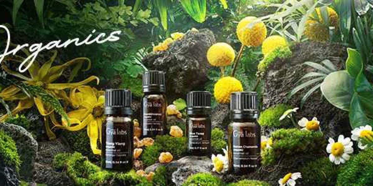 Elevate Your Well-being: Where to Buy Organic Essential Oils from GyaLabs