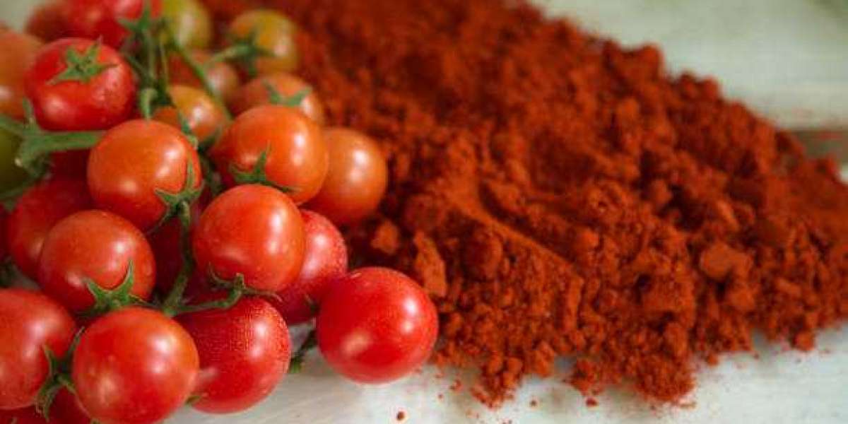 Tomato Powder Key Market Players by Type, Revenue, and Forecast 2032