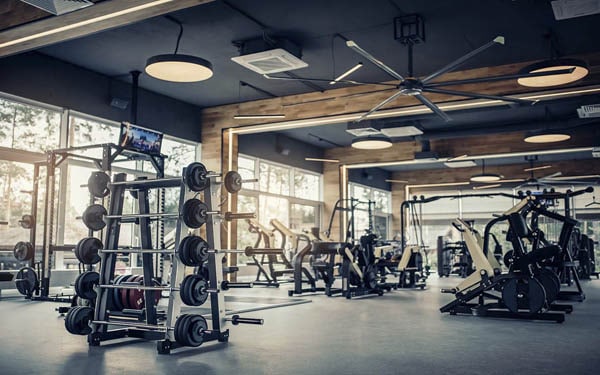 Gyms in Ajman - Compare : Prices, Hours, Reviews & Classes