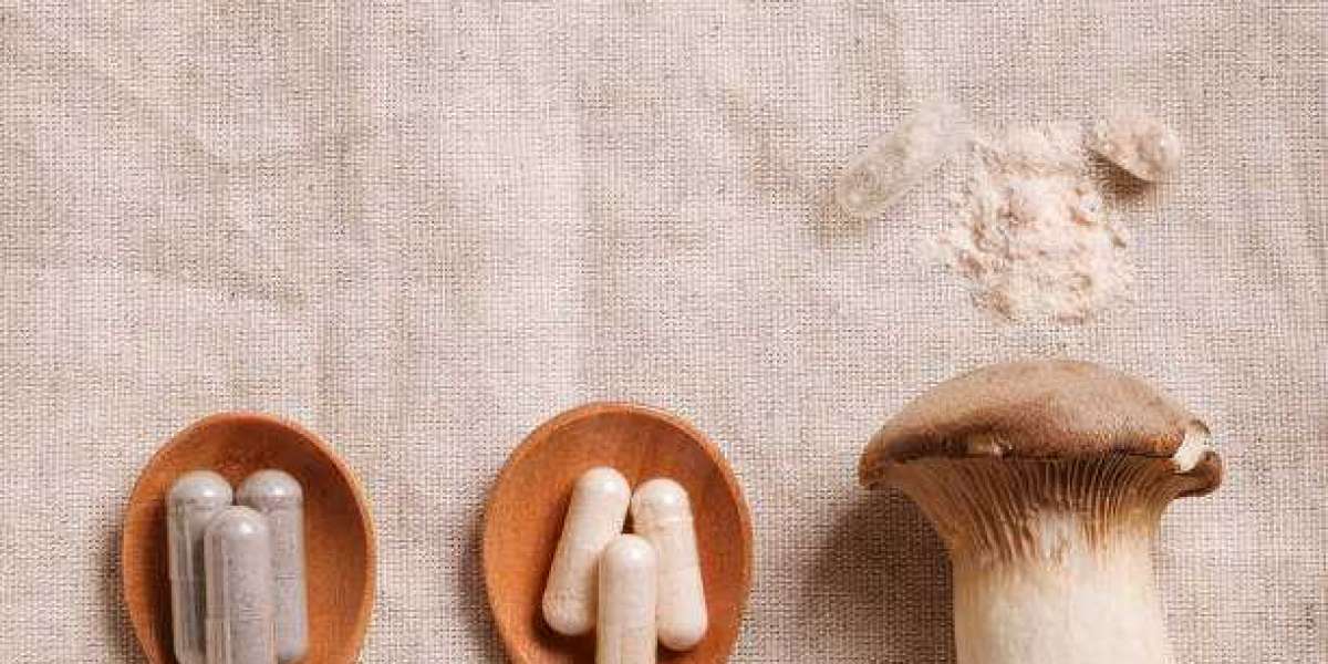 Medicinal Mushroom Extract Market Report by Growth, and Competitor with Statistics, Forecast 2032