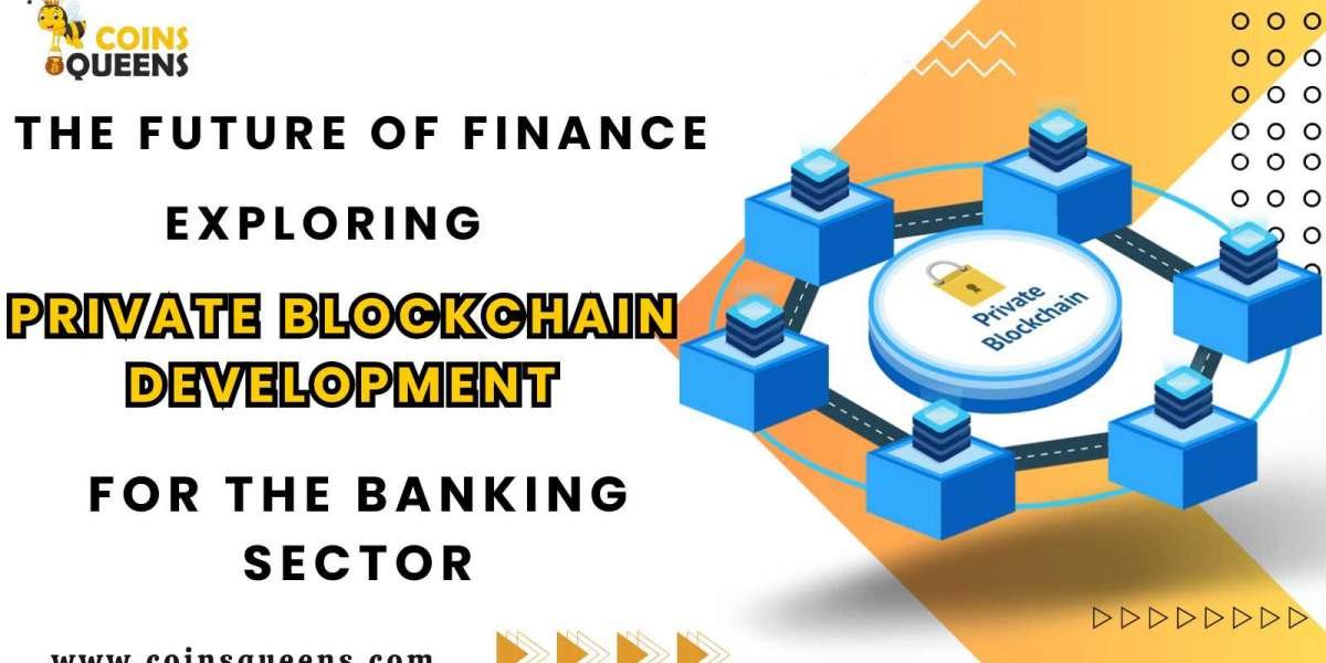 The Future of Finance: Exploring Private Blockchain Development for the Banking Sector