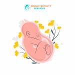 World Fertility Services Profile Picture