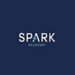 Spark Recovery Profile Picture