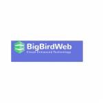 Big birdweb Profile Picture