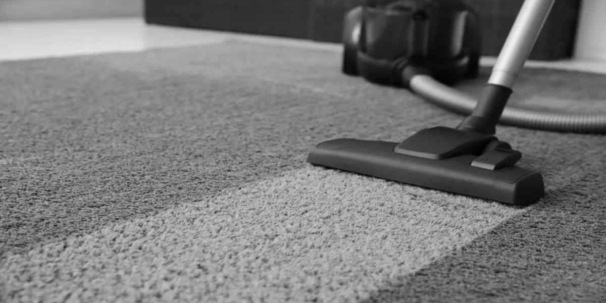 Longevity Starts Here: The Importance of Carpet Cleaning