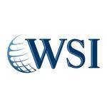 WSI Optimized Web Solutions Profile Picture