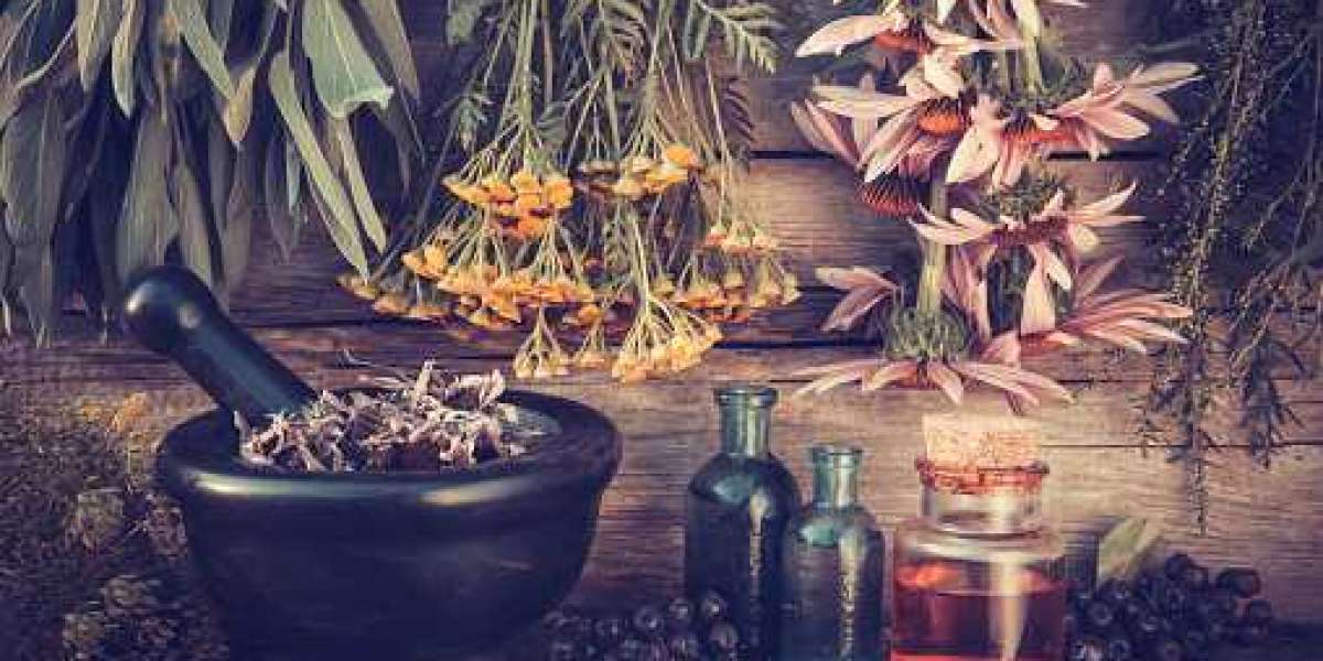 Asia-Pacific Botanical Extracts Market Trends, Category by Type, Top Companies, and Forecast 2030