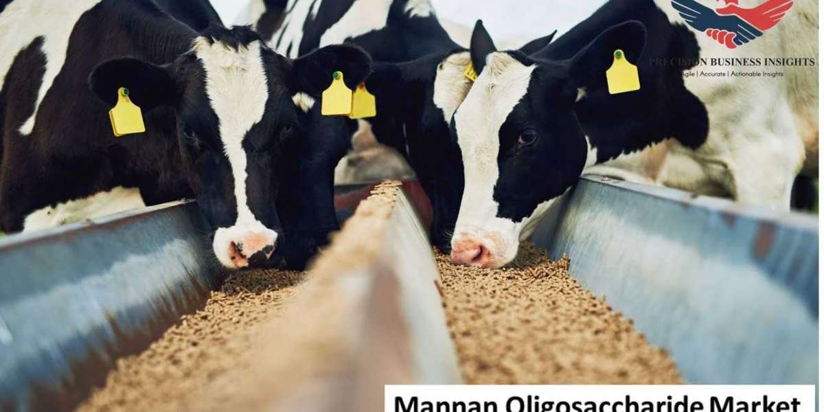Mannan Oligosaccharide Market Size, Share Growth Report