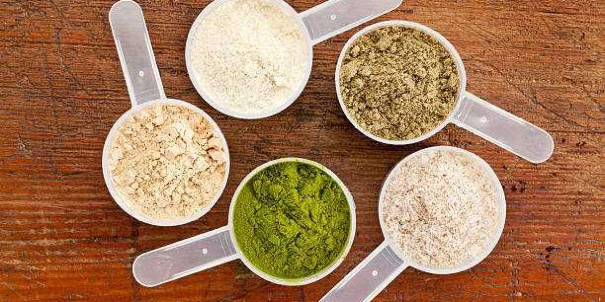 Europe Protein Supplements Market Size, Growth, Demand, Top Manufacturers Data, Consumption Status, Share