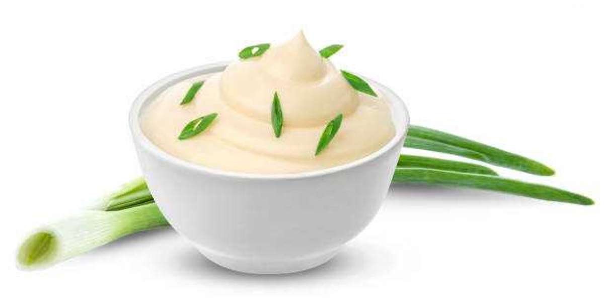 Europe Sour Cream Market Insights: Drivers, Key Players, and Forecast 2030