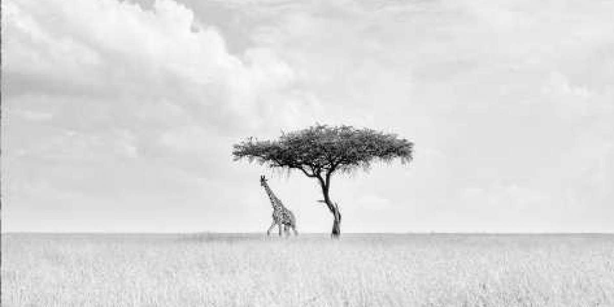 Kenya Photo Workshop