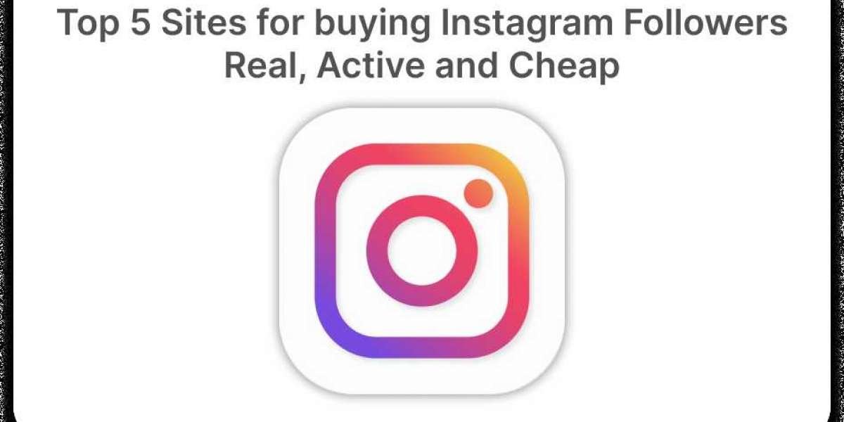 Top Websites to Buy Instagram Followers in 2024