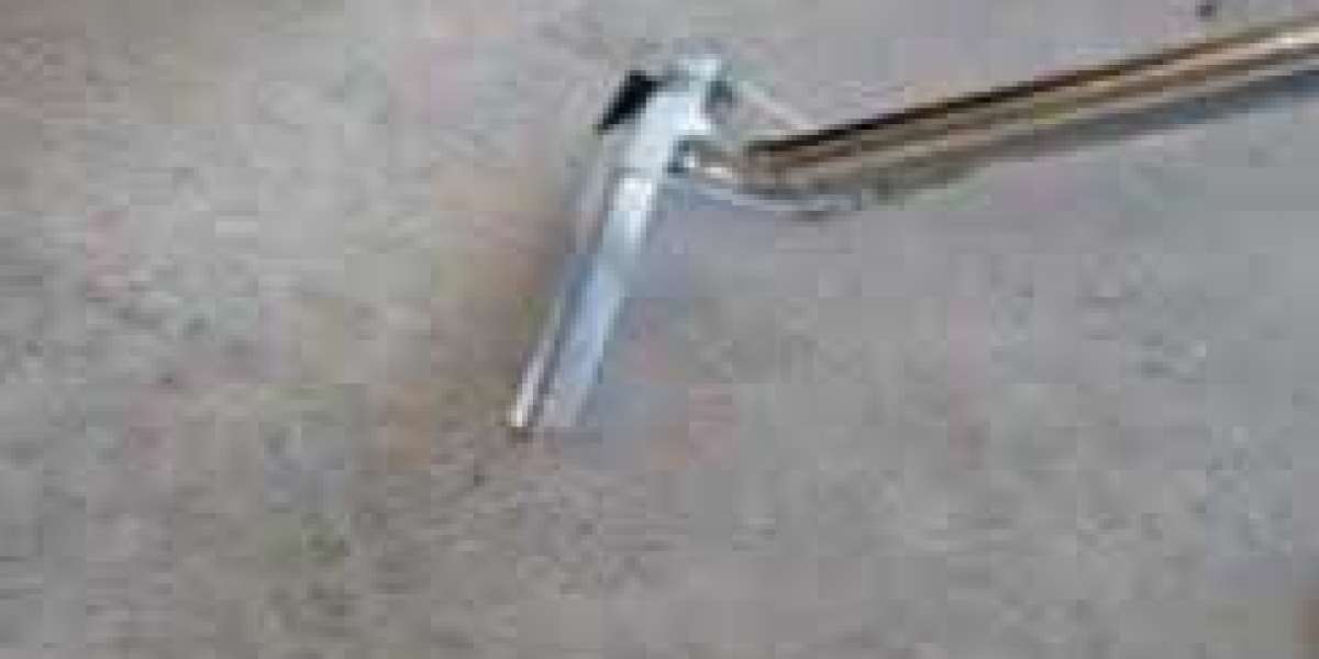 Professional Carpet Cleaning: Enhancing Home Comfort and Health