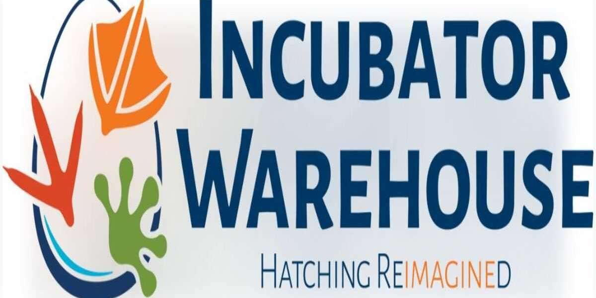 The Secret to Startup Success: Leveraging Smart Incubators
