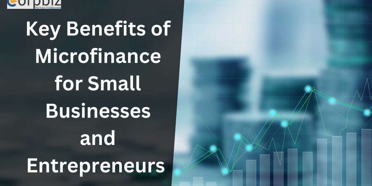 Key Benefits of Microfinance for Small Businesses and Entrepreneurs