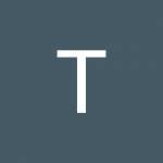 Tridindia Transcription