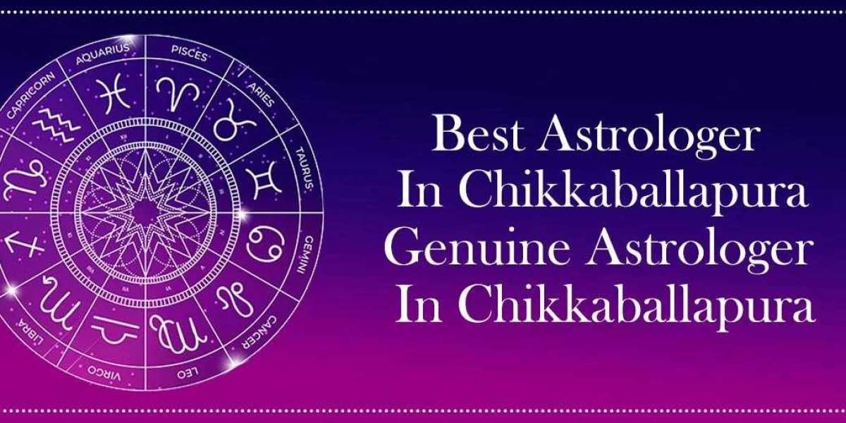 Best Astrologer in Bagepalli