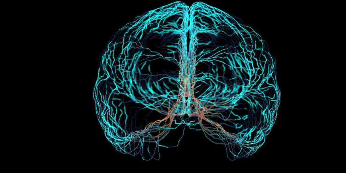 Understanding the Side Effects of Epilepsy Medications