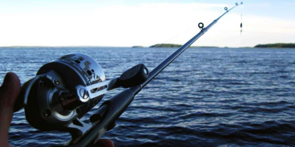 Adrenalin Carp Killer III Rod vs. Other Carp Rods: Which Pairs Best with a Tripod Fishing Stand?
