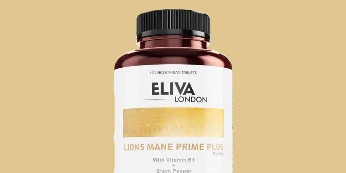 How to Choose the Best Lion’s Mane Supplement in the UK: A Buyer’s Guide