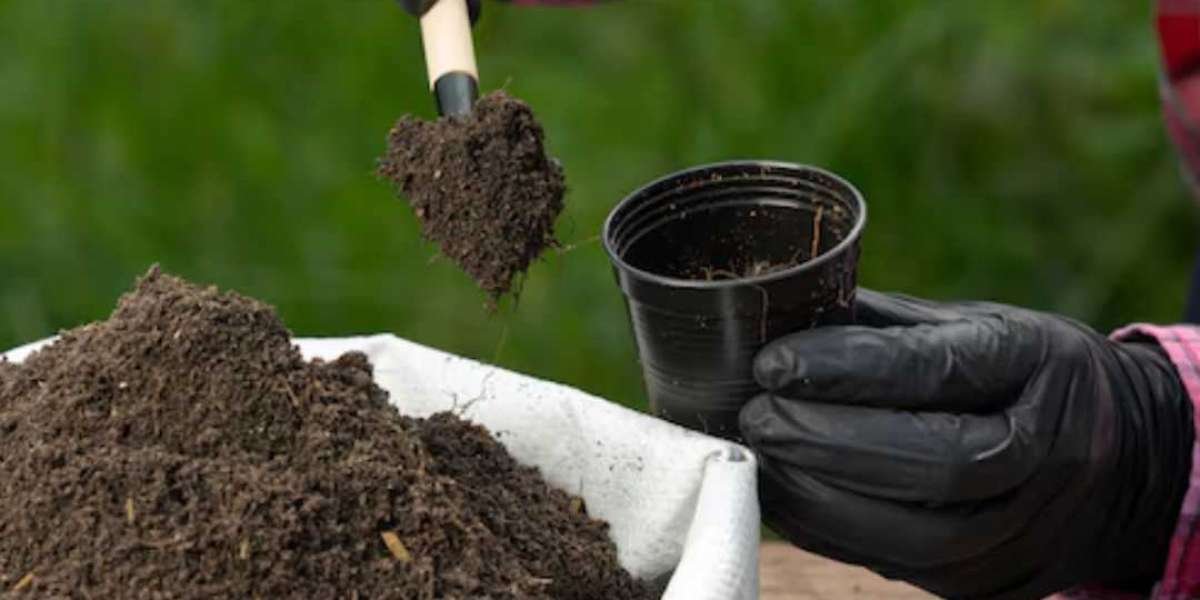 The Growing Soil Amendments Market: Key Trends and Insights