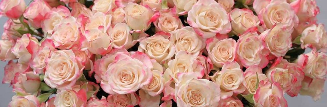 Glamour Rose Cover Image