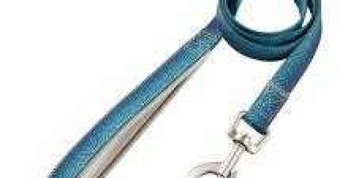 The Perfect Leash for Every Adventure