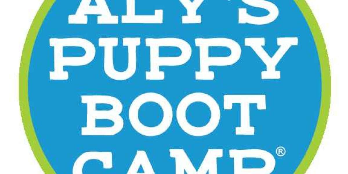 Why In-Person Dog Training Might Be the Breakthrough You and Your Dog Need