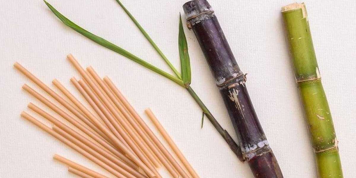 Global Trade and Straw Manufacturing Trends