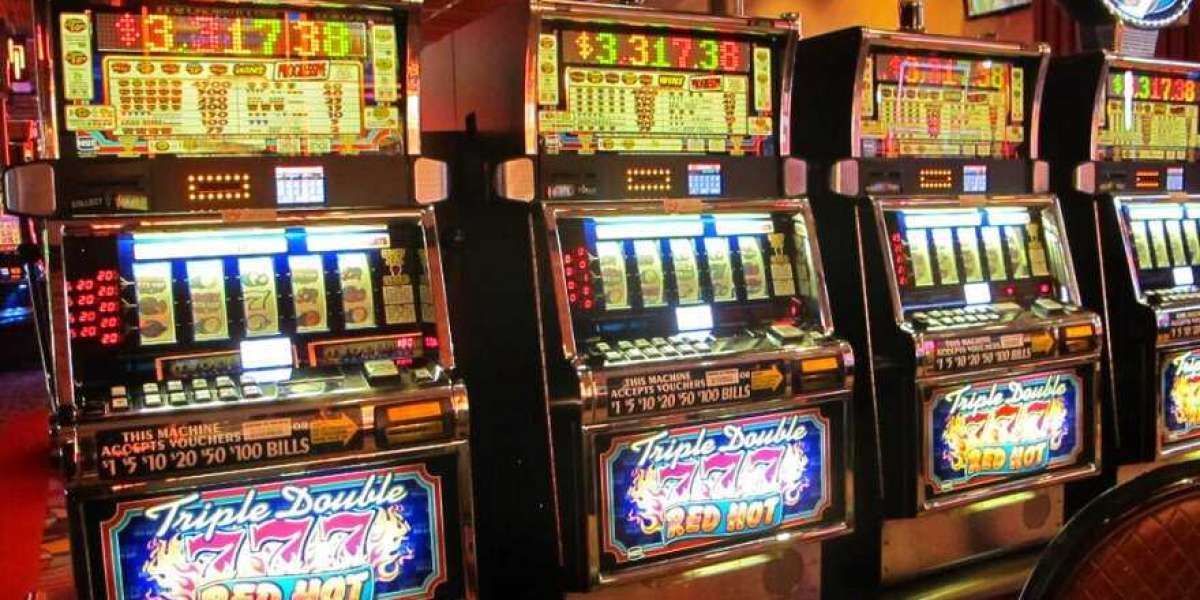 Top 5 Casinos That Hunt Like a Safari Trophy Chase in 2025