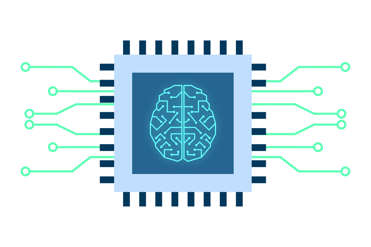 The Role of Organ on Chip Technology in Personalized Medicine | by MEDELINK | May, 2025 | Medium