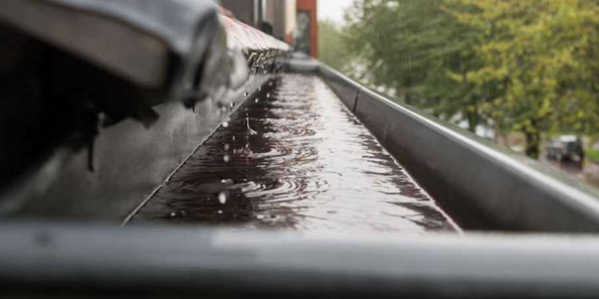 Why Hire a Professional Gutter Cleaner in Geelong?