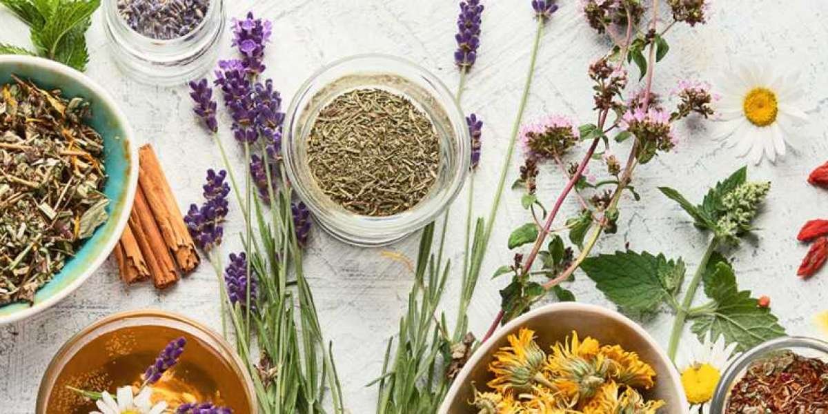Global Botanical Flavors Market Size, Share, Industry Insights, Trends, Outlook, Opportunity Analysis Forecast To 2032
