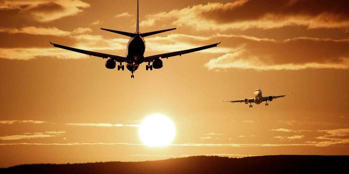 How can I check my flight booking details?