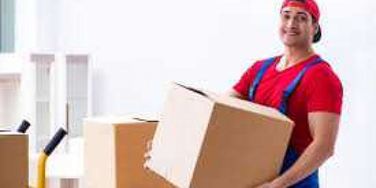 Movers and Packers in the USA: Professional Support for a Seamless Move