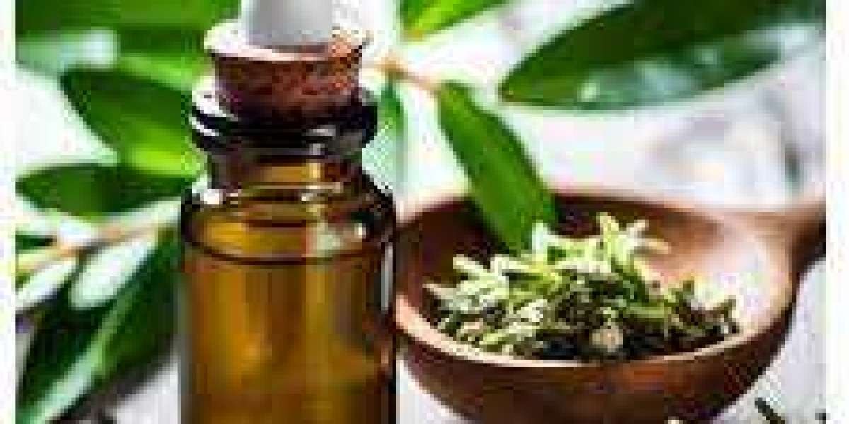 Global Tea Tree Oil Market Size, Share, Key Players, Trends, Sales, Supply, Demand, Analysis and Forecast 2032