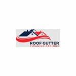 Roof Gutter Cleaning Geelong