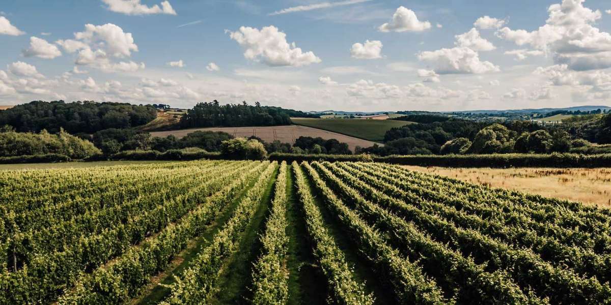 Escape in Style: Discover the Charm of Luxury Countryside Lodges in the UK