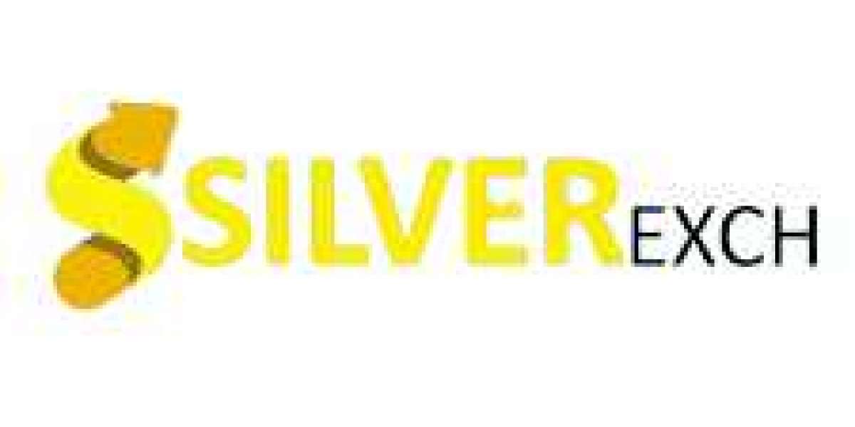 Silverbhai – Secure Gaming Experience with Trusted Digital Exchange