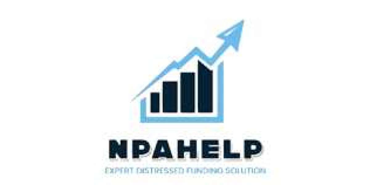 Unlocking Financial Stability with NPAHelp Services