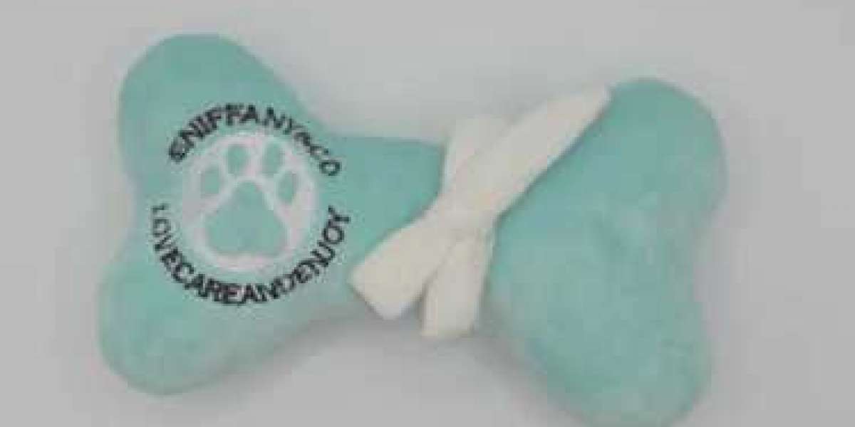 Chew Toys for Dogs Dubai Paw Maison