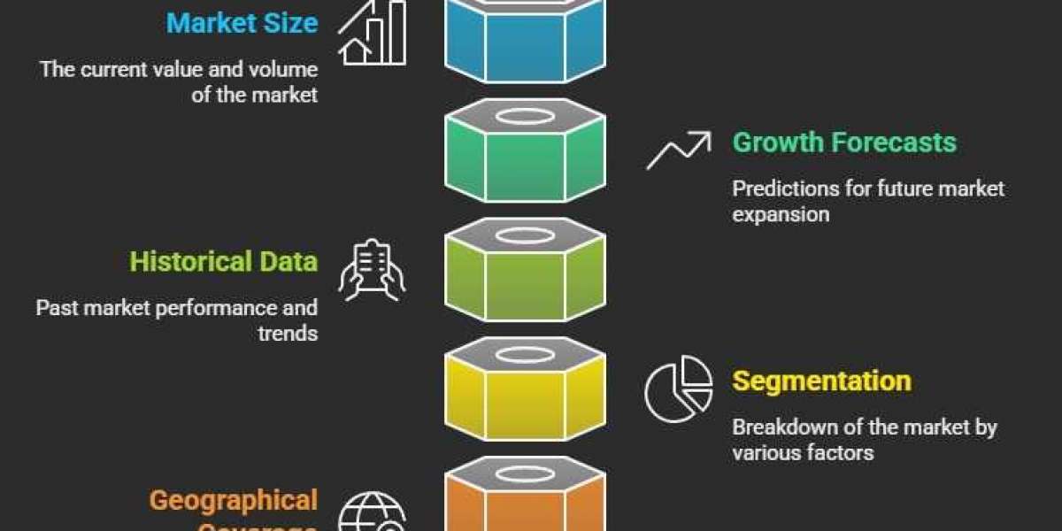 Industrial Router Market: Trends, Growth Drivers, and Forecast to 2031