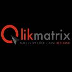 QlikMatrix SEM  Analytics Pvt. Ltd.
