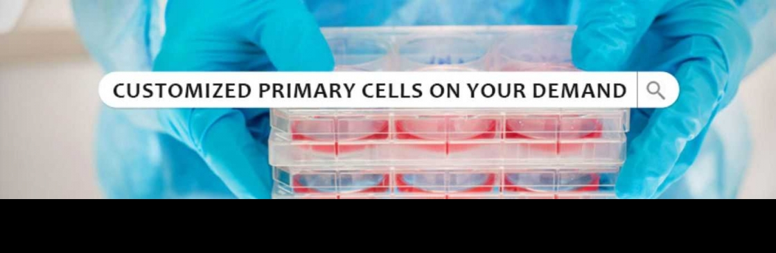 Kosheeka Primary Cells for Research Cover Image
