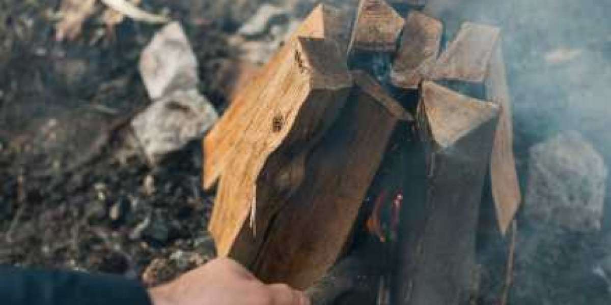 Article Picture
