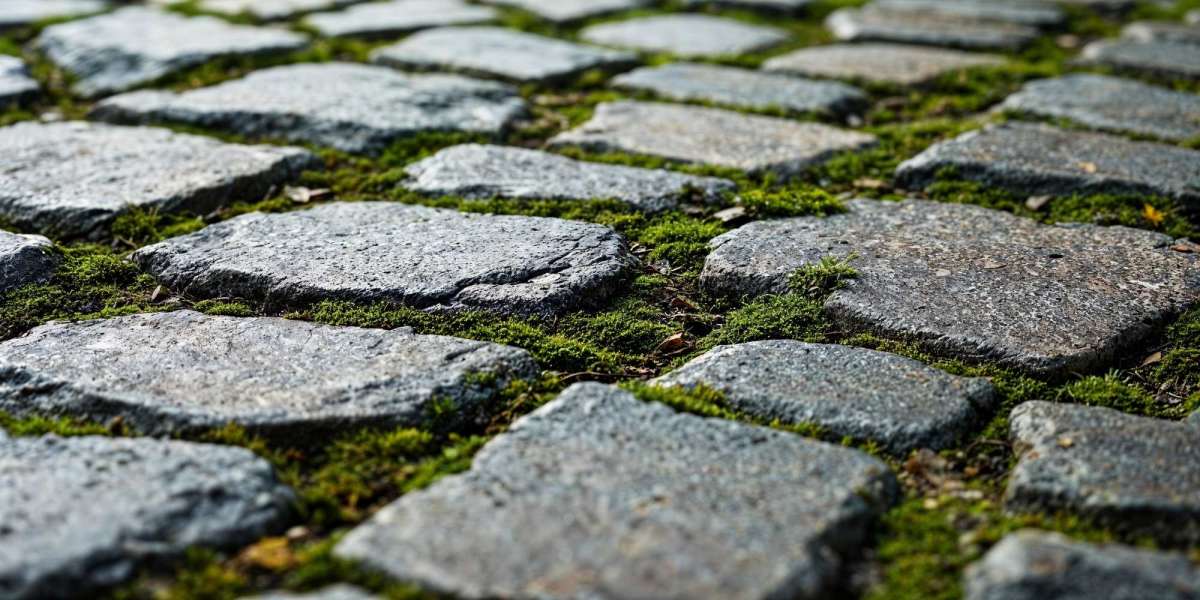 Expert Paver Sealing for Driveways and Patios